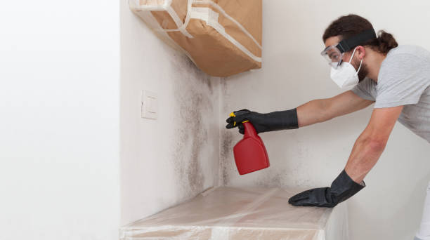 Professional Mold Testing technician working in North Reading, MA